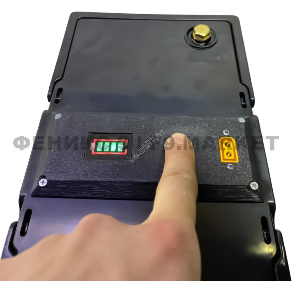 Бесперебойник для РЭБ "Ньютон 7S" (ИБП) 2000W, 80000mAh, 24V